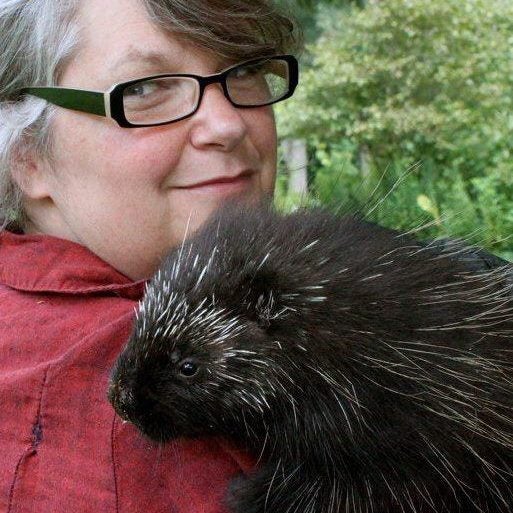 Let's Look for Porcupines! White Memorial Conservation Center